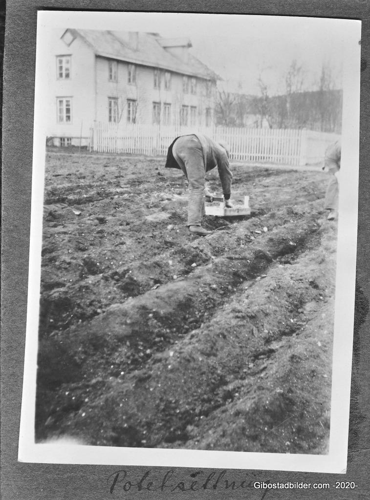 06-Borghild Furustøl 1926 27-Brunt album 0005